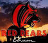 Logo der Read Bears Cham