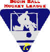 Logo der Bodin Ball Hockey League