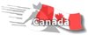 Logo der Canadien Ball Hockey Association
