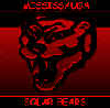 Logo des Solar Bear Ball Hockey Club