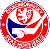 Logo des tschechischen Streethockeyverbandes